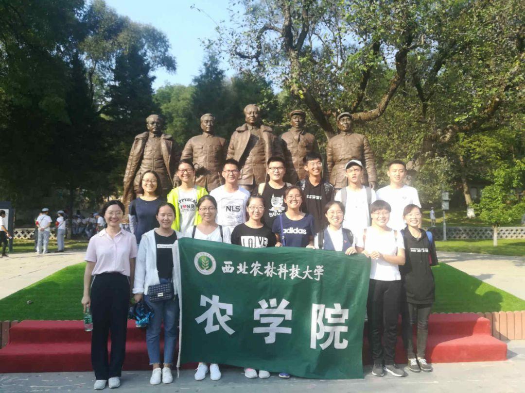 蝙蝠侠：阿甘骑士